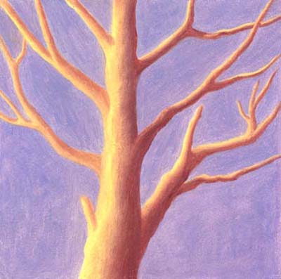Albero-2-Olio