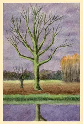 Albero-Aquarelle