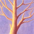 Albero-2-Olio