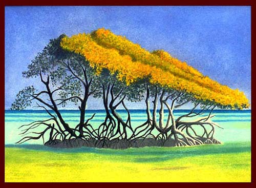 Mangrovie-Pastel
